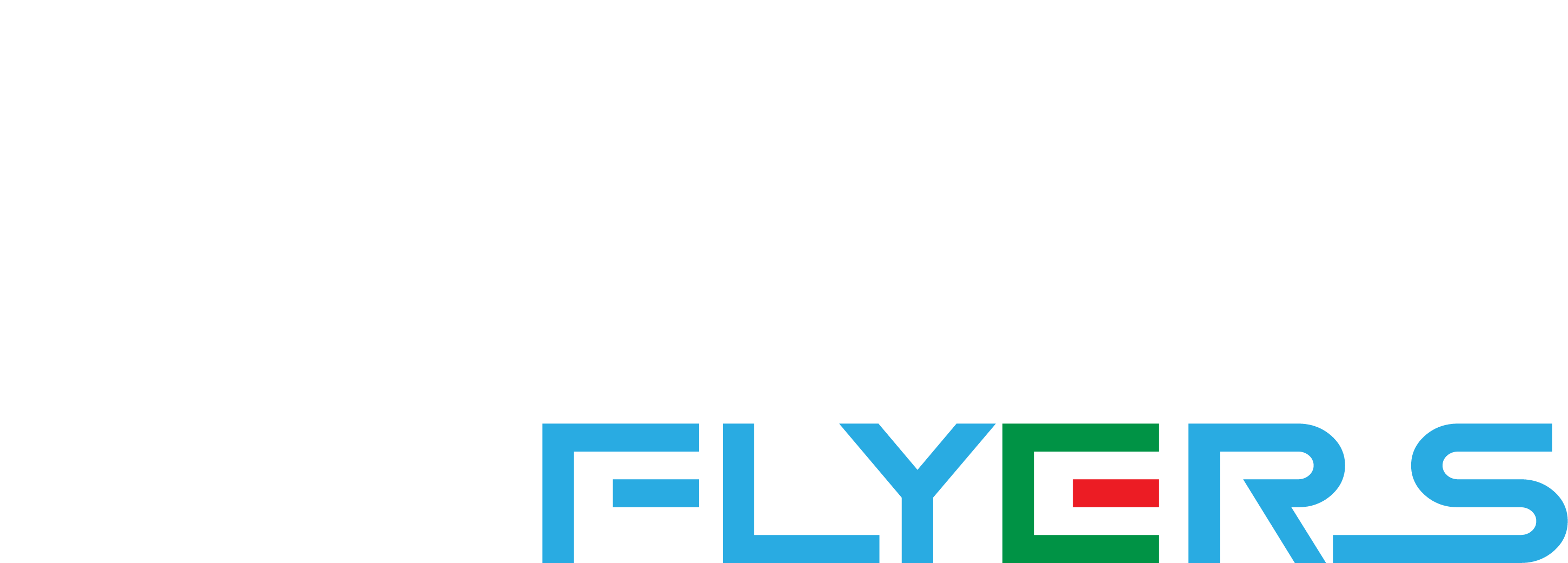 Quantum Flyers Team Logo